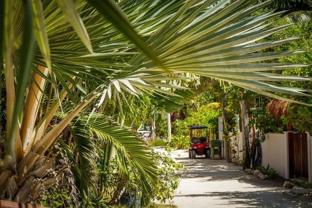 Los Depas Del Aeropuerto Holbox Appartement